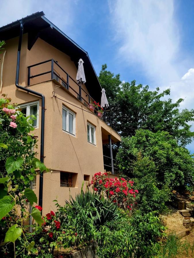 מלון Orşova Casa Ema מראה חיצוני תמונה